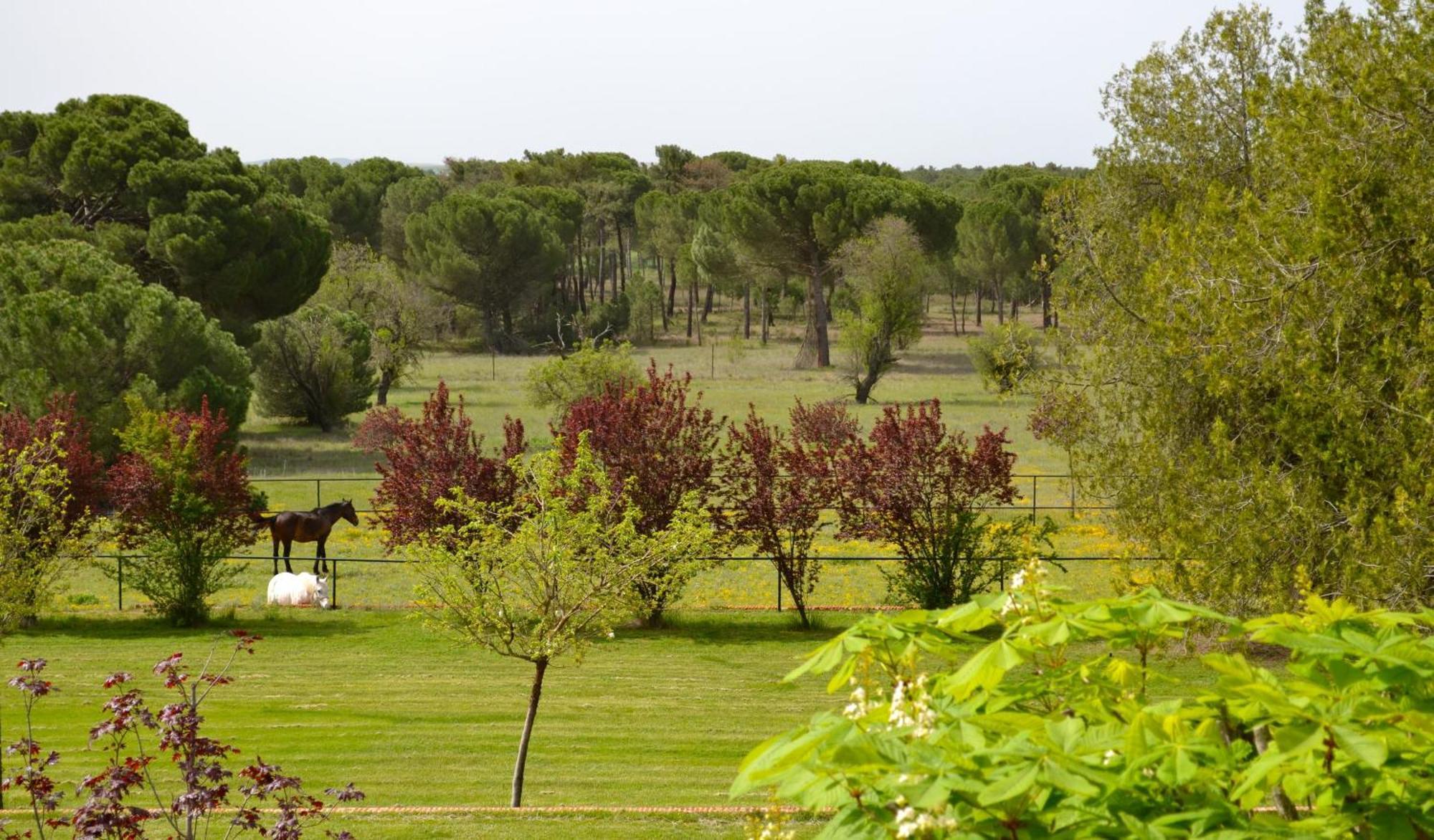 Posada Real Del Pinar Pozal de Gallinas Buitenkant foto