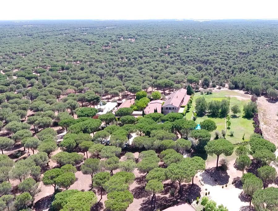 Posada Real Del Pinar Pozal de Gallinas Buitenkant foto